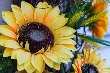 Vibrant yellow sunflowers bloom in a lush garden, showcasing their large, round heads and textured petals. Other greenery complements the flowers, creating a joyful and inviting atmosphere that celebrates spring's arrival.の写真素材