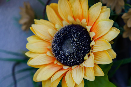 A sunflower displays its bright yellow petals surrounding a dark center. This vibrant decoration captures attention with its cheerful colors, adding a lively touch to the surroundings. Ideal for enhancing any floral arrangement.の写真素材