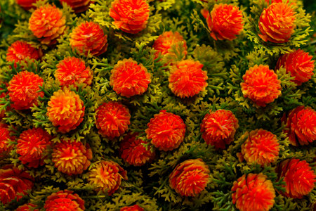 Clusters of bright orange flowers are surrounded by green leaves in a garden. The flowers create a colorful scene.の写真素材
