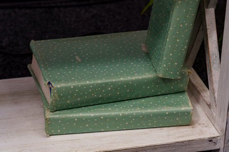 Two books with green covers sit on a wooden shelf in a home library. Sunlight shines through a nearby window, creating a warm atmosphere.の写真素材