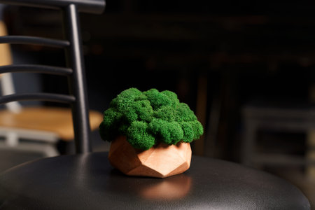 A small green plant decoration rests on a black chair in a low-light setting. The plant has a round shape and a textured surface.の写真素材