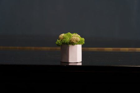 A small pink pot holds a green plant. The plant has light green moss and is placed on a dark table.の写真素材