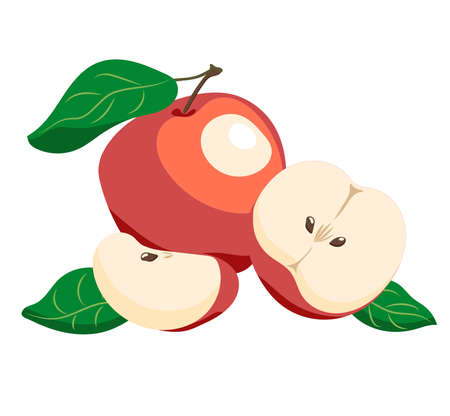 Vector of red apple, sliced one and a halved one isolated on white backgroundのイラスト素材
