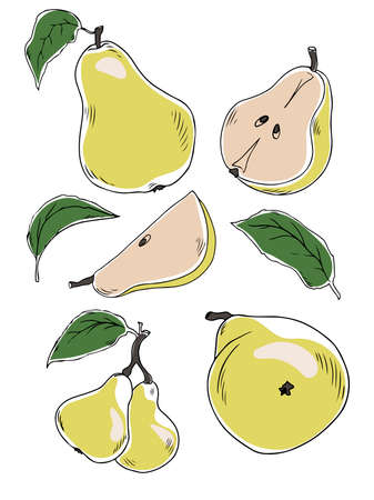 Vector set of colorful half, slice and segment of juicy yellow pear. Fresh cartoon pears on white background.のイラスト素材