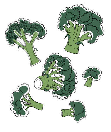 Vector set of doodle style colorful broccolis isolated on white backgroundのイラスト素材