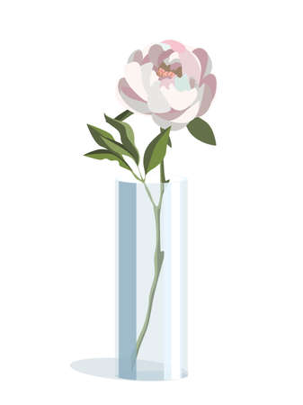 Single white peony in cylindrical vase in light flat style, isolated on white backgroundのイラスト素材