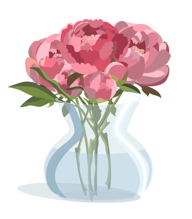 Bunch of pink peonies in round glass vase with water. Isolated on white backgroundのイラスト素材