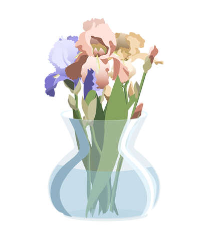 Bunch of blue, pink and yellow irises in round glass vase. Isolated on white backgroundのイラスト素材