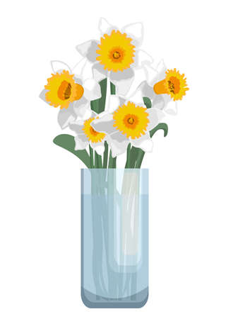 Bouquet of white and yellow daffodil flowers in glass vase. Isolated on white backgroundのイラスト素材