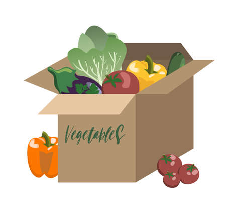 Cardboard box with assorted vegetables: tomatoes, green salad, sweet peppers, eggplant and greenery.のイラスト素材