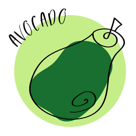 Ripe and colorful avocado in trendy doodle styleのイラスト素材