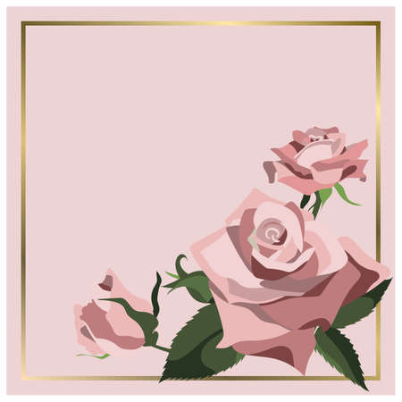 Vector square background with blooming pink roses and golden frameのイラスト素材