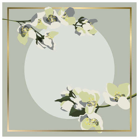 Vector square background with blooming jasmine branches and golden frameのイラスト素材