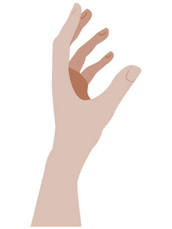 Vector empty hand reaching, holding, giving, catching a ball etc isolated on white backgroundのイラスト素材