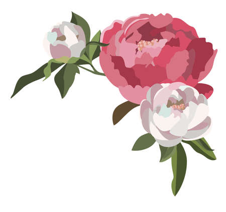 Peony floral composition, lush white and pink flowers with greenery. Wedding card decoration. Romantic background.のイラスト素材