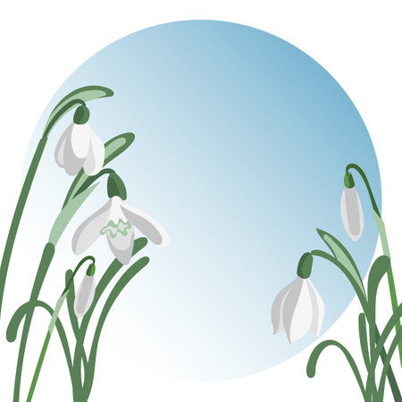 Vector template of greeting card with blooming snowdrop flowers on gradient backgroundのイラスト素材
