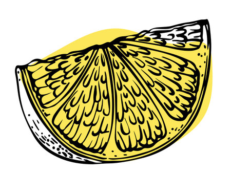 Hand drawn lineart single yellow lemon slice isolated on white backgroundのイラスト素材