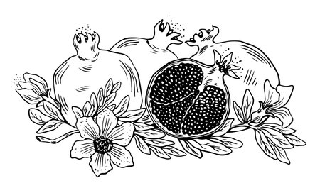 Lineart of three whole and one sliced pomegranate with leaves and flowers black on white backgroundのイラスト素材
