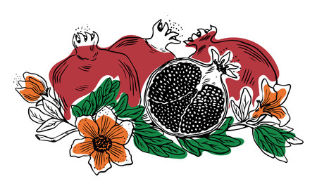 Three whole one sliced pomegranate with leaves and flowers black sketch style on white backgroundのイラスト素材