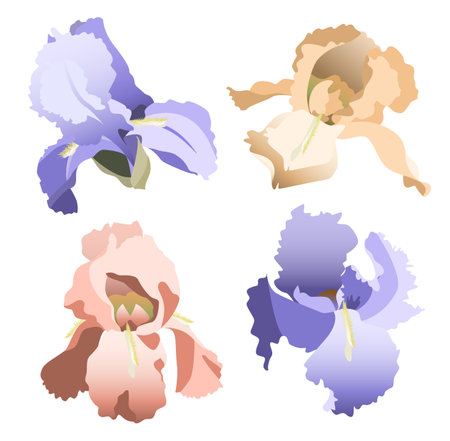 Set of flat style iris flower heads for design template isolated on white backgroundのイラスト素材
