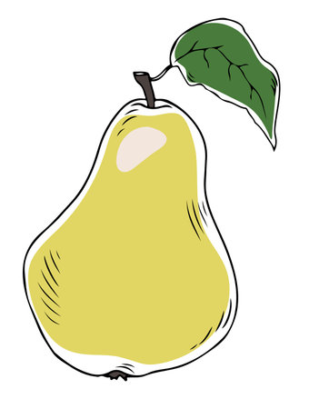 Lineart style vector yellow pear with leaf black outline on white background isolatedのイラスト素材