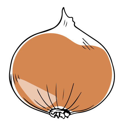 Vector single lineart style yellow onion isolated on white backgroundのイラスト素材