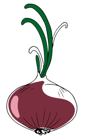 Vector single lineart style red onion with green leaves isolated on white backgroundのイラスト素材