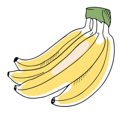 Lineart style vector bunch of bananas black outline on white background isolatedのイラスト素材
