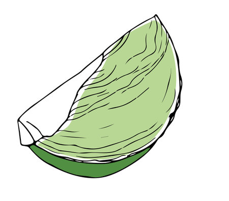 Lineart style chopped green cabbage black outline isolated on white backgroundのイラスト素材