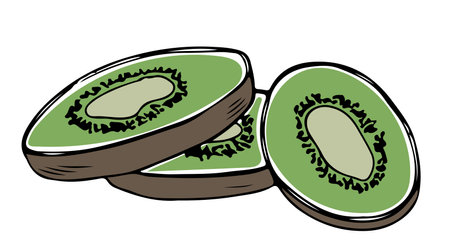 Lineart style set of colored kiwi chunks black outline on white backgroundのイラスト素材