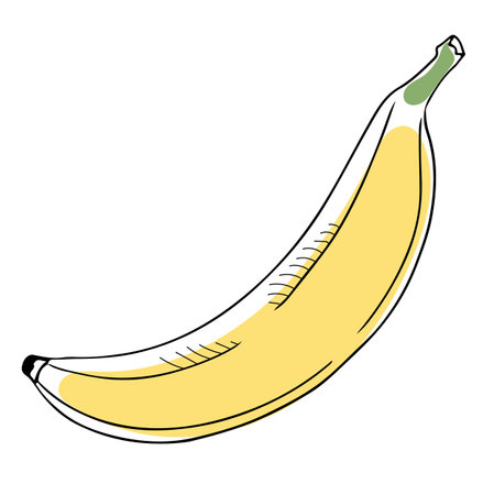 Lineart style vector single banana black outline on white background isolatedのイラスト素材