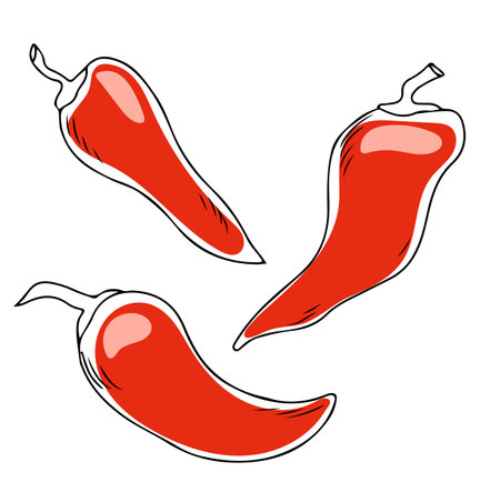 Lineart style set of three red chili peppers black outline on white backgroundのイラスト素材