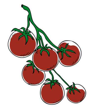 Lineart style red cherry tomatoes on green branch isolated on white backgroundのイラスト素材