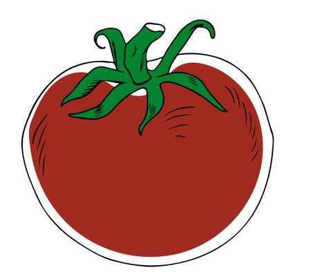 Lineart style red whole tomato with green stem isolated on white backgroundのイラスト素材