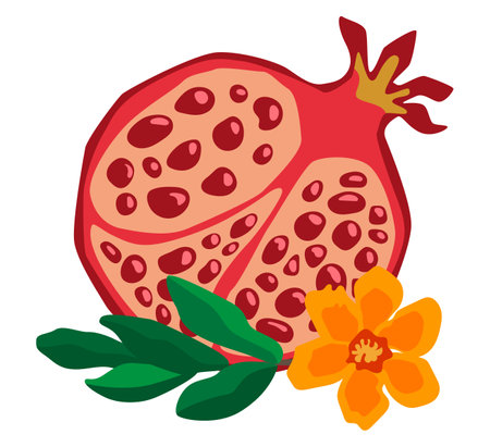 Vector illustration of sliced pomegranate with leaves and flowers black on white backgroundのイラスト素材
