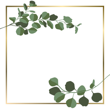 Vector square background with eucalyptus branches and golden frameのイラスト素材