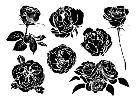Vector set of black silhouette rose flowers with leaves and stems isolated on white backgroundのイラスト素材