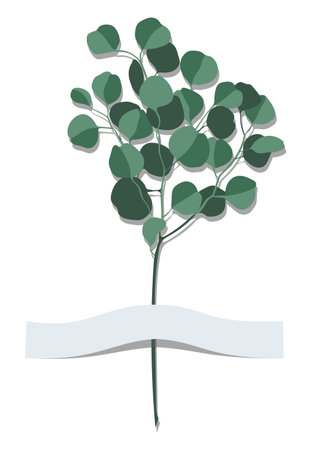 Flat style eucalyptus branch with blank copy space ribbon isolated on white backgroundのイラスト素材