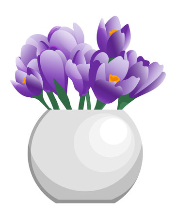 Vector bunch of crocus flowers in white clay vase flat style isolated on white backgroundのイラスト素材