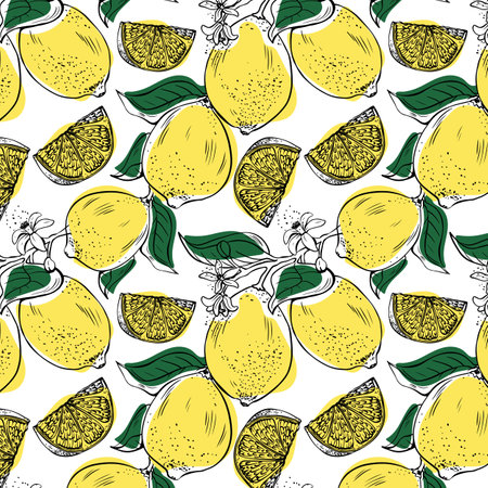 Vector seamless pattern with lineart style lemons in yellow and green colors on white backgroundのイラスト素材