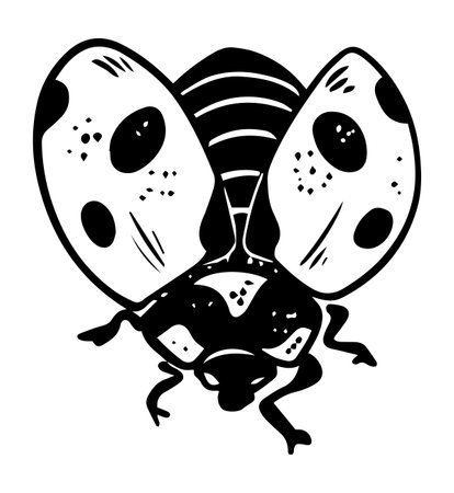 Single sketch style flying ladybug illustration black lineart isolated on white backgroundのイラスト素材