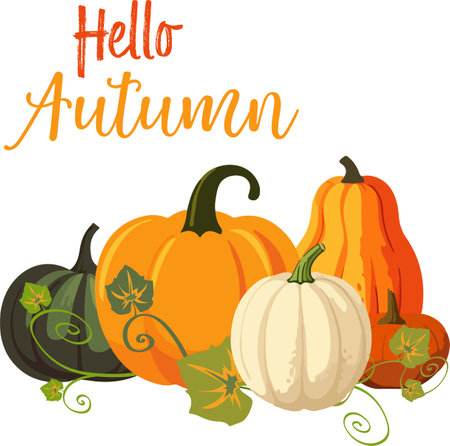 Vector illustration of pumpking pile with leaves on white backgtound. Hello autumn textのイラスト素材