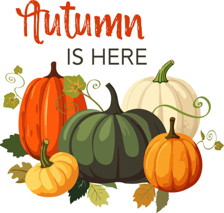 Vector illustration of pumpking pile with leaves on white backgtound. Autumn is here textのイラスト素材