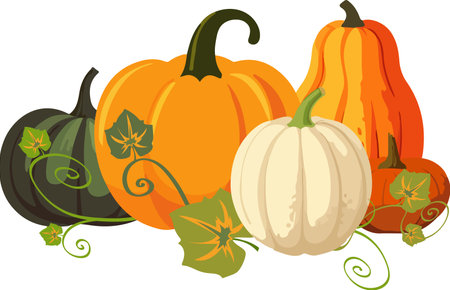 Vector illustration of five colorful cartoon style pumpkins in a row on white backgroundのイラスト素材