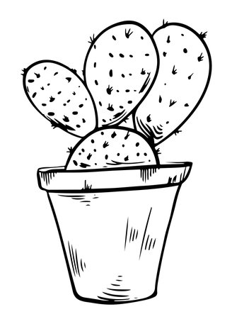 Potted houseplant opuntia vector illustration. Succulent outline style. Isolated on white backgroundのイラスト素材