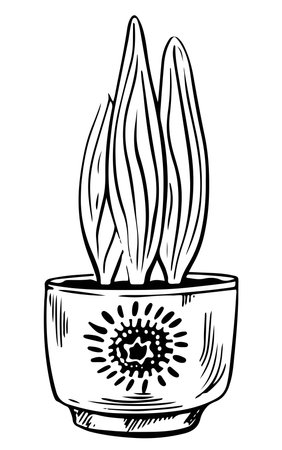 Potted houseplant agave vector illustration. Succulent outline style. Isolated on white backgroundのイラスト素材