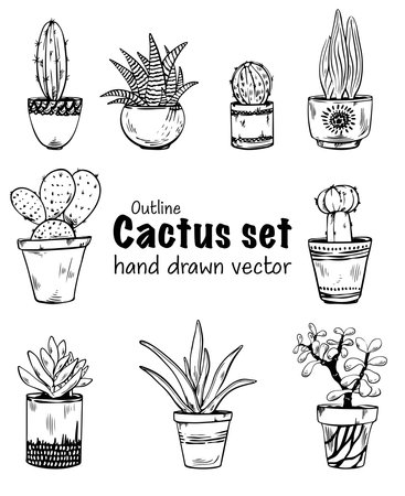 Set of different succulents in outline style, black lineart isolated on white backgroundのイラスト素材