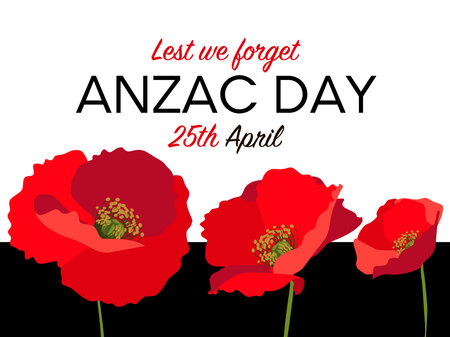 Anzac day horizontal poster layout with red poppies on white backgroundのイラスト素材