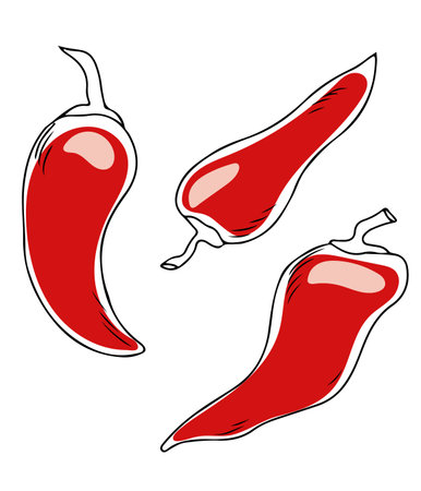 Vector hand drawn doodle of three chili peppers isolated on white backgroundのイラスト素材