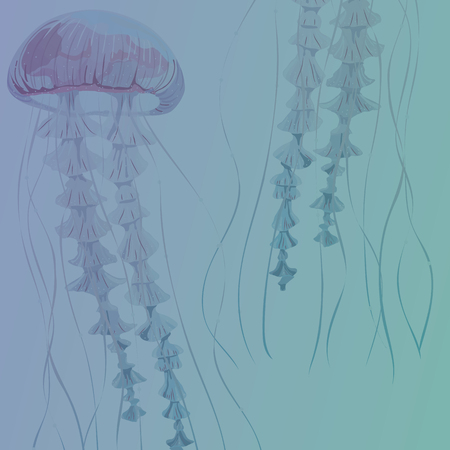 Background with detailed transparent jellyfish. Sea jelly on blue background. Vector illustrationのイラスト素材